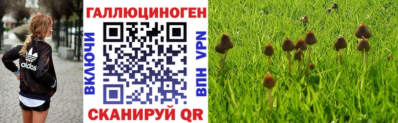 Псилоцибиновые грибы мицелий Красавино